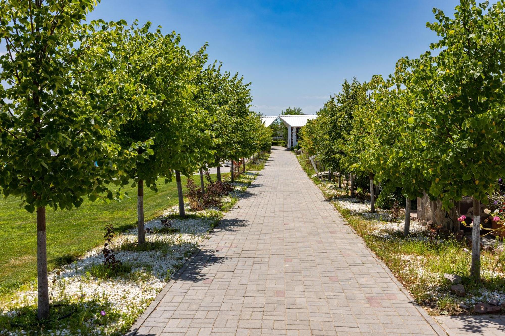 La Dolce Vita Resort Qapschaghai Exterior foto